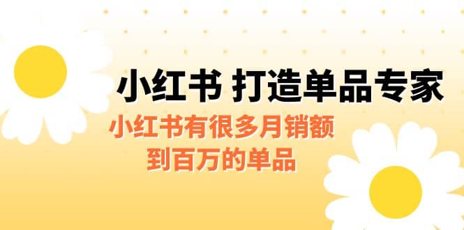 某公众号付费文章《小红书 打造单品专家》小红书有很多月销额到百万的单品汇创网-网创项目_汇创网_中创网_福缘网_冒泡网_资源整合平台汇创网