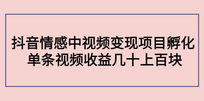 抖音情感中视频变现项目孵化汇创网-网创项目_汇创网_中创网_福缘网_冒泡网_资源整合平台汇创网