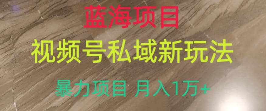 蓝海项目，视频号私域新玩法，暴力项目月入1万+【揭秘】汇创网-网创项目_汇创网_中创网_福缘网_冒泡网_网创项目平台汇创网