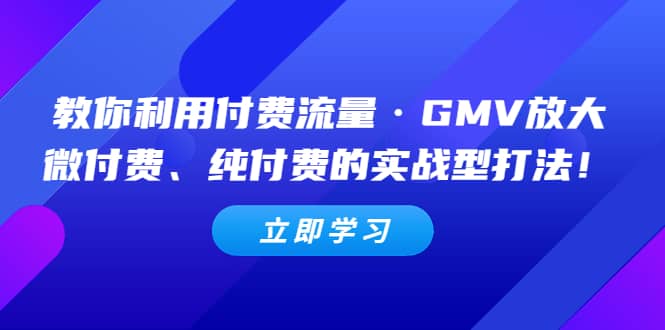 教你利用付费流量·GMV放大，微付费、纯付费的实战型打法汇创网-网创项目_汇创网_中创网_福缘网_冒泡网_资源整合平台汇创网