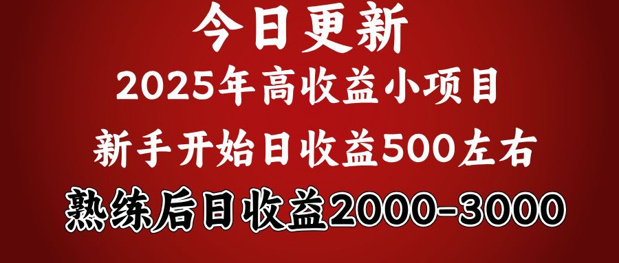 2025开年好项目，新手日收益500+ 熟练掌握后，日收益平均2000多汇创网-网创项目_汇创网_中创网_福缘网_冒泡网_资源整合平台汇创网