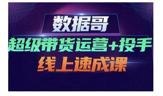 数据哥·超级带货运营+投手线上速成课，快速提升运营和熟悉学会投手技巧网创项目_汇创网_中创网_福缘网_冒泡网_资源整合平台汇创网