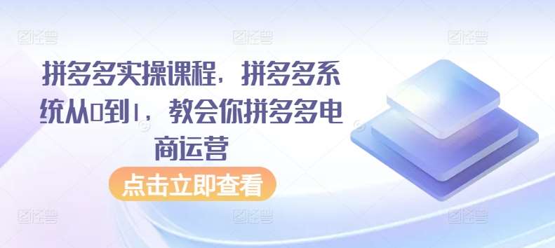 拼多多实操课程，拼多多系统从0到1，教会你拼多多电商运营汇创网-网创项目_汇创网_中创网_福缘网_冒泡网_网创项目平台汇创网