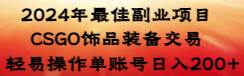 （8941期）2024年最佳副业项目 CSGO饰品装备交易 轻易操作单账号日入200+网创项目_汇创网_中创网_福缘网_冒泡网_资源整合平台汇创网