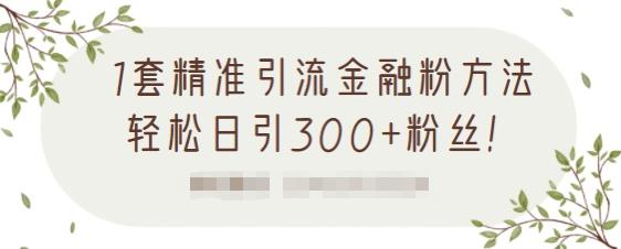 1套精准引流金融粉方法，轻松日引300+粉丝【视频课程】汇创网-网创项目_汇创网_中创网_福缘网_冒泡网_资源整合平台汇创网