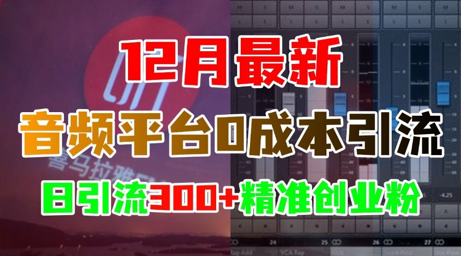 12月最新：音频平台0成本引流，日引300+精准创业粉汇创网-网创项目_汇创网_中创网_福缘网_冒泡网_网创项目平台汇创网