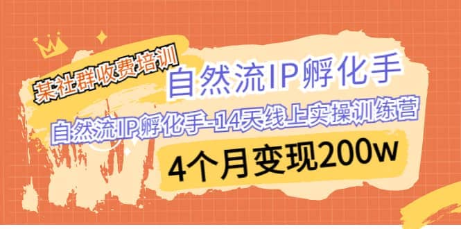 某社群收费培训：自然流IP 孵化手-14天线上实操训练营 4个月变现200w汇创网-网创项目_汇创网_中创网_福缘网_冒泡网_资源整合平台汇创网
