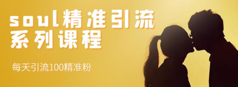 soul精准引流系列课程，每天引流100精准粉汇创网-网创项目_汇创网_中创网_福缘网_冒泡网_资源整合平台汇创网