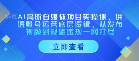 AI高阶自媒体项目实操课，讲透账号运营底层逻辑，从发布视频到规避违规一网打尽汇创网-网创项目_汇创网_中创网_福缘网_冒泡网_资源整合平台汇创网