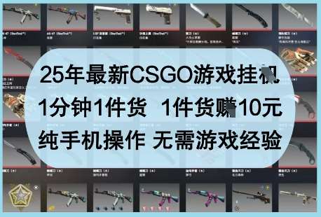 25年最新CSGO游戏挂G，1分钟1件货，1件货挣10元，纯手机操作，无需游戏经验【揭秘】汇创网-网创项目_汇创网_中创网_福缘网_冒泡网_网创项目平台汇创网