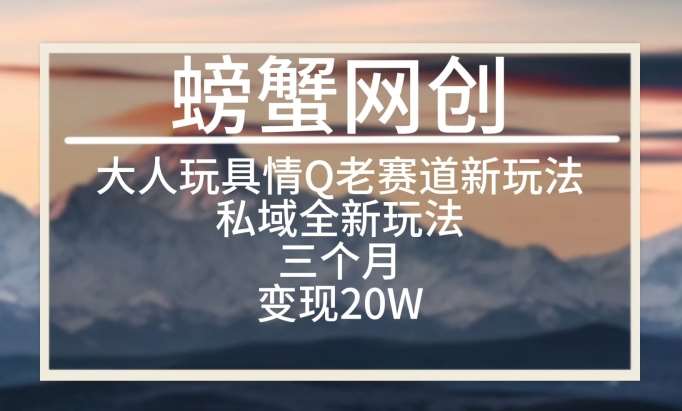 大人玩具情Q用品赛道私域全新玩法，三个月变现20W，老项目新思路【揭秘】汇创网-网创项目_汇创网_中创网_福缘网_冒泡网_网创项目平台汇创网