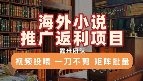 海外小说推广返利项目，视频投喂， 一刀不剪，矩阵批量汇创网-网创项目_汇创网_中创网_福缘网_冒泡网_资源整合平台汇创网