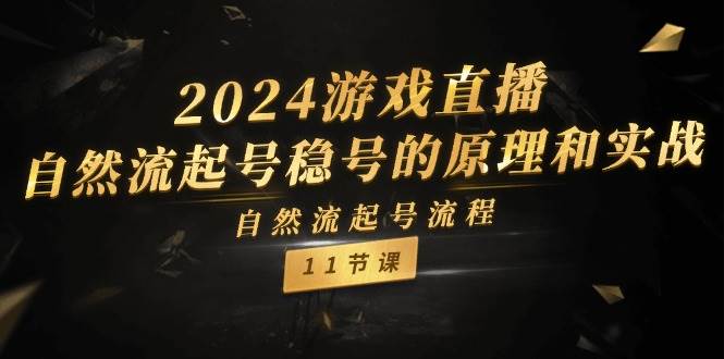 2024游戏直播-自然流起号稳号的原理和实战，自然流起号流程（11节）汇创网-网创项目_汇创网_中创网_福缘网_冒泡网_资源整合平台汇创网