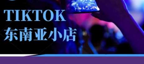 Tiktok东南亚跨境小店运营班，一门专业的TK小店运营培训课汇创网-网创项目_汇创网_中创网_福缘网_冒泡网_资源整合平台汇创网