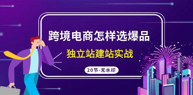 （9369期）跨境电商怎样选爆品，独立站建站实战（20节高清无水印课）汇创网-网创项目_汇创网_中创网_福缘网_冒泡网_资源整合平台汇创网