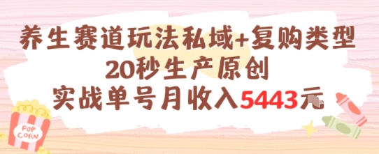 养生赛道玩法私域+复购类型，20秒生产原创实战单号月收入5k+汇创网-网创项目_汇创网_中创网_福缘网_冒泡网_资源整合平台汇创网