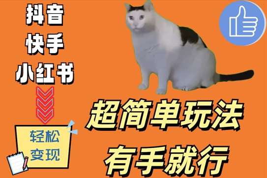 超简单玩法，有手就行，靠猫咪视频日入500+【揭秘】汇创网-网创项目_汇创网_中创网_福缘网_冒泡网_资源整合平台汇创网