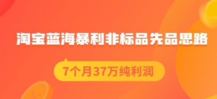 盗坤淘宝蓝海暴利非标品先品思路，7个月37万纯利润，压箱干货分享！【付费文章】网创项目_汇创网_中创网_福缘网_冒泡网_资源整合平台汇创网