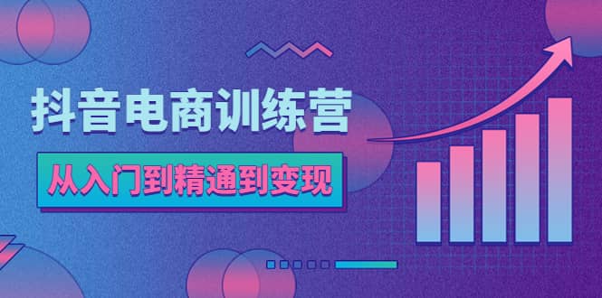 抖音电商训练营：从入门到精通，从账号定位到流量变现，抖店运营实操汇创网-网创项目_汇创网_中创网_福缘网_冒泡网_网创项目平台汇创网