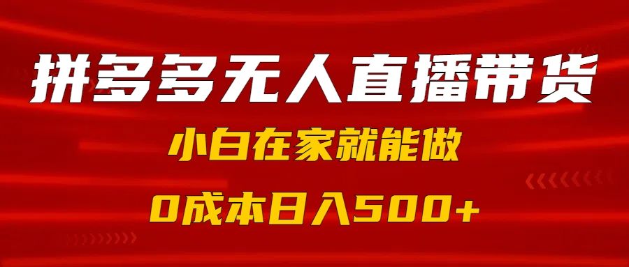 拼多多无人直播带货，小白在家就能做，0成本日入500+汇创网-网创项目_汇创网_中创网_福缘网_冒泡网_资源整合平台汇创网