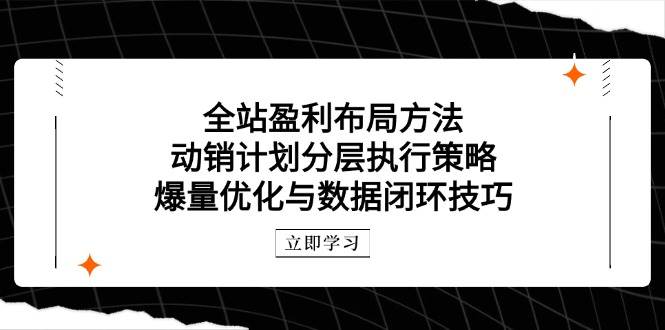 （14698期）全站盈利布局方法：动销计划分层执行策略，爆量优化与数据闭环技巧汇创网-网创项目_汇创网_中创网_福缘网_冒泡网_资源整合平台汇创网