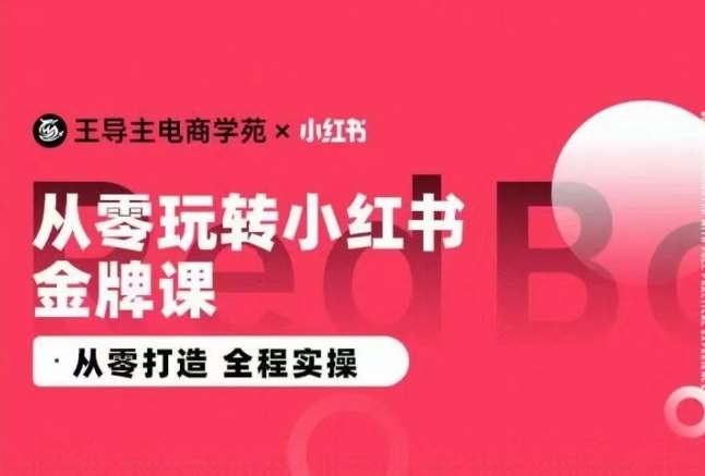 王导主·小红书电商运营实操课，​从零打造  全程实操汇创网-网创项目_汇创网_中创网_福缘网_冒泡网_网创项目平台汇创网