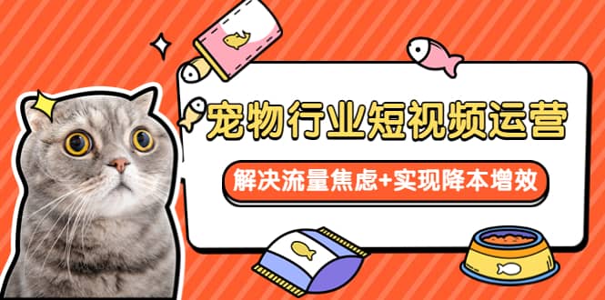 宠物/行业短视频运营 流量增长的一层窗户纸 解决流量焦虑+实现降本增效汇创网-网创项目_汇创网_中创网_福缘网_冒泡网_资源整合平台汇创网