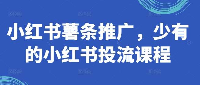 小红书薯条推广，少有的小红书投流课程汇创网-网创项目_汇创网_中创网_福缘网_冒泡网_资源整合平台汇创网