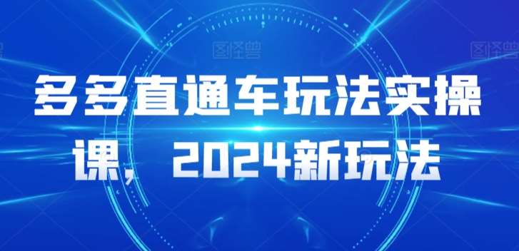 多多直通车玩法实操课，2024新玩法汇创网-网创项目_汇创网_中创网_福缘网_冒泡网_资源整合平台汇创网