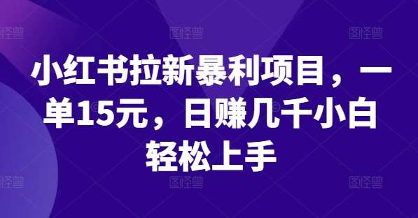 小红书拉新暴利项目，一单15元，日赚几千小白轻松上手【揭秘】汇创网-网创项目_汇创网_中创网_福缘网_冒泡网_资源整合平台汇创网