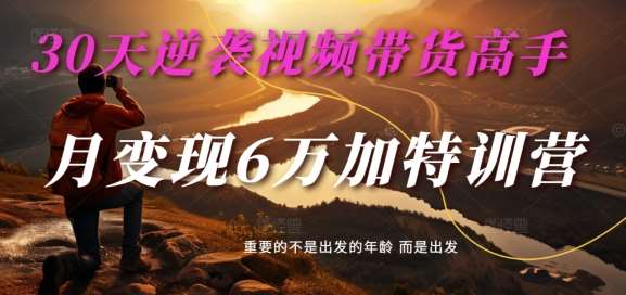 30天逆袭视频带货高手，单月变现6万加特训营-麦子甜汇创网-网创项目_汇创网_中创网_福缘网_冒泡网_资源整合平台汇创网