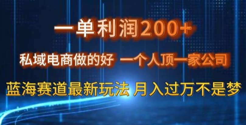 一单利润200私域电商做的好，一个人顶一家公司蓝海赛道最新玩法【揭秘】汇创网-网创项目_汇创网_中创网_福缘网_冒泡网_网创项目平台汇创网