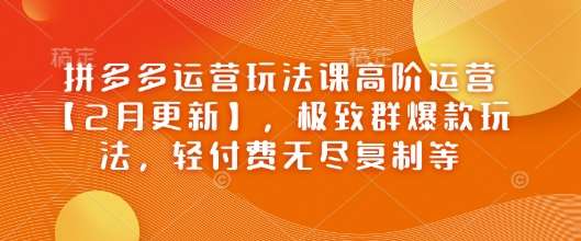 拼多多运营玩法课高阶运营【2月更新】，极致群爆款玩法，轻付费无尽复制等汇创网-网创项目_汇创网_中创网_福缘网_冒泡网_资源整合平台汇创网