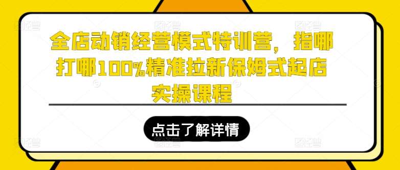 全店动销经营模式特训营，指哪打哪100%精准拉新保姆式起店实操课程汇创网-网创项目_汇创网_中创网_福缘网_冒泡网_资源整合平台汇创网