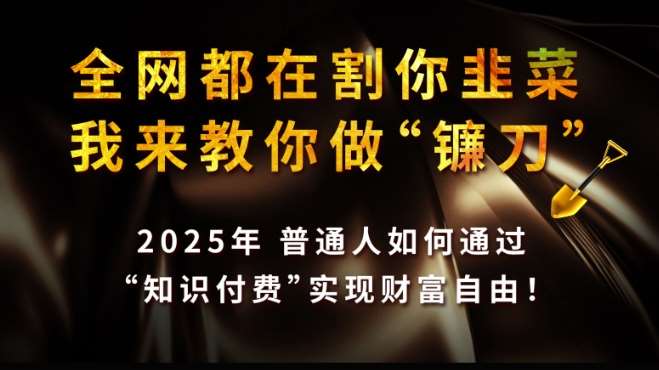 全网都在割你韭菜，我来教你做镰刀,2025普通人如何通过知识付费，实现财F自由【揭秘】汇创网-网创项目_汇创网_中创网_福缘网_冒泡网_资源整合平台汇创网