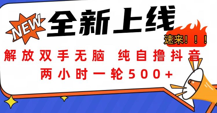 解放双手无脑 纯自撸抖音 两小时一轮500+汇创网-网创项目_汇创网_中创网_福缘网_冒泡网_网创项目平台汇创网