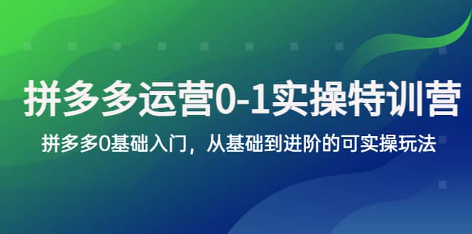 拼多多-运营0-1实操训练营，拼多多0基础入门，从基础到进阶的可实操玩法汇创网-网创项目_汇创网_中创网_福缘网_冒泡网_网创项目平台汇创网