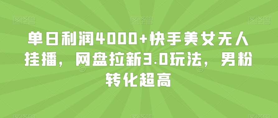 单日利润4000+快手美女无人挂播，网盘拉新3.0玩法，男粉转化超高【揭秘】汇创网-网创项目_汇创网_中创网_福缘网_冒泡网_资源整合平台汇创网
