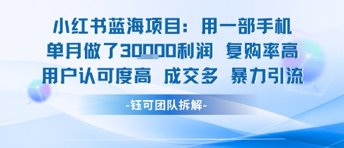 小红书蓝海项目，一部手机单月做了3W利润，小白也能月入过1W用户认可度高成交多汇创网-网创项目_汇创网_中创网_福缘网_冒泡网_资源整合平台汇创网