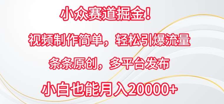 小众赛道掘金，视频制作简单，轻松引爆流量，条条原创，多平台发布【揭秘】汇创网-网创项目_汇创网_中创网_福缘网_冒泡网_资源整合平台汇创网