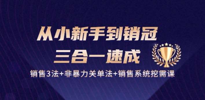 从小新手到销冠 三合一速成：销售3法+非暴力关单法+销售系统挖需课 (27节)汇创网-网创项目_汇创网_中创网_福缘网_冒泡网_资源整合平台汇创网