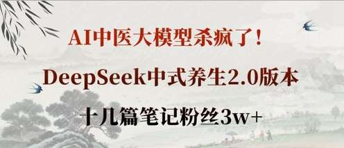 AI中医大模型杀疯了！DeepSeek中式养生2.0版本，十几篇笔记粉丝3w+汇创网-网创项目_汇创网_中创网_福缘网_冒泡网_资源整合平台汇创网