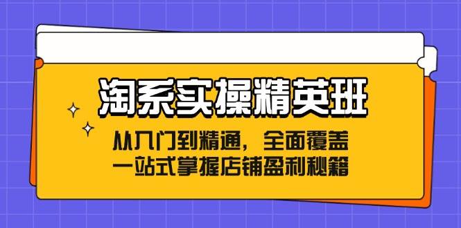 （12276期）淘系实操精英班：从入门到精通，全面覆盖，一站式掌握店铺盈利秘籍汇创网-网创项目_汇创网_中创网_福缘网_冒泡网_资源整合平台汇创网