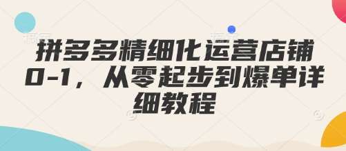 拼多多精细化运营店铺0-1，从零起步到爆单详细教程汇创网-网创项目_汇创网_中创网_福缘网_冒泡网_资源整合平台汇创网