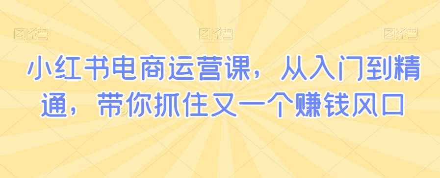 小红书电商运营课，从入门到精通，带你抓住又一个赚钱风口汇创网-网创项目_汇创网_中创网_福缘网_冒泡网_资源整合平台汇创网