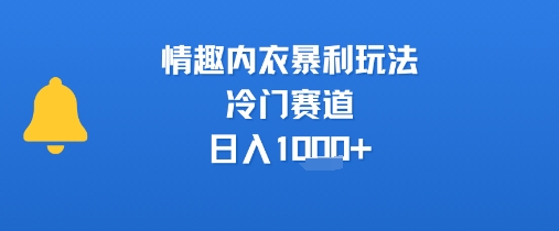 情趣内衣暴利玩法，冷门赛道，日入1k+汇创网-网创项目_汇创网_中创网_福缘网_冒泡网_资源整合平台汇创网
