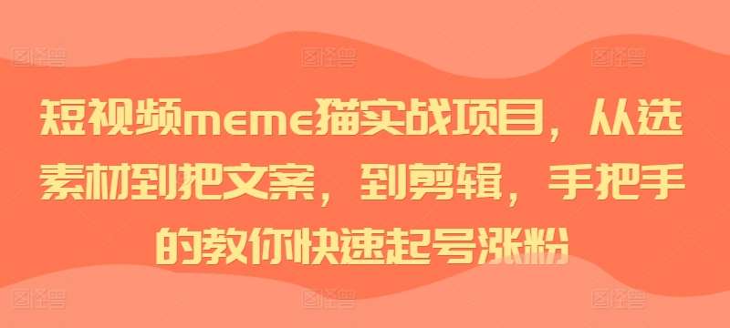 短视频meme猫实战项目，从选素材到把文案，到剪辑，手把手的教你快速起号涨粉网创项目_汇创网_中创网_福缘网_冒泡网_资源整合平台汇创网