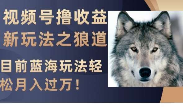 视频号撸收益新玩法之狼道，目前蓝海玩法，轻松月入过万【揭秘】汇创网-网创项目_汇创网_中创网_福缘网_冒泡网_网创项目平台汇创网