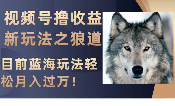（8042期）视频号撸收益新玩法之狼道，目前蓝海玩法轻松月入过万！汇创网-网创项目_汇创网_中创网_福缘网_冒泡网_资源整合平台汇创网