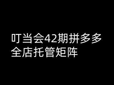 叮当会拼多多打爆班原创高阶技术第42期，拼多多全店托管矩阵汇创网-网创项目_汇创网_中创网_福缘网_冒泡网_资源整合平台汇创网
